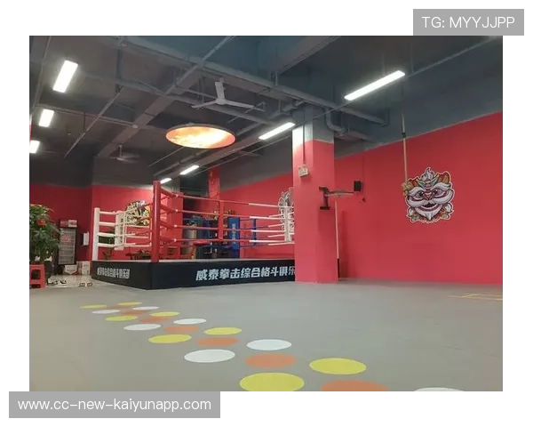 国际拳击裁判在教学中加入伦理与职业操守课程强化职业素养，拳击裁判基础知识